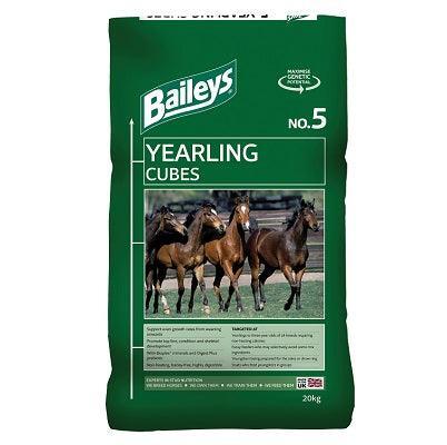 Baileys No. 05 Yearling Cubes | Luxury Home Accessories | Heulog Glow