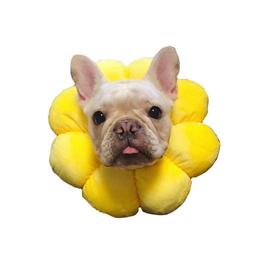 Baiquanying Short Sterilization Circle Skin Disease | Luxury Home Accessories | Heulog Glow