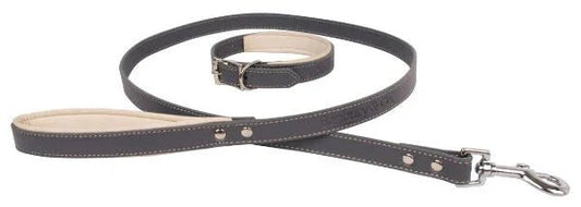 Banbury & Co Luxury Dog Collar & Lead Set | Luxury Home Accessories | Heulog Glow