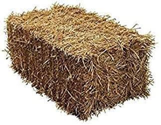 Barley Straw Bale - NE Pets | Luxury Home Accessories | Heulog Glow