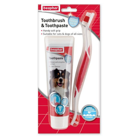 Beaphar All Size Dogs Dental Kit | Luxury Home Accessories | Heulog Glow
