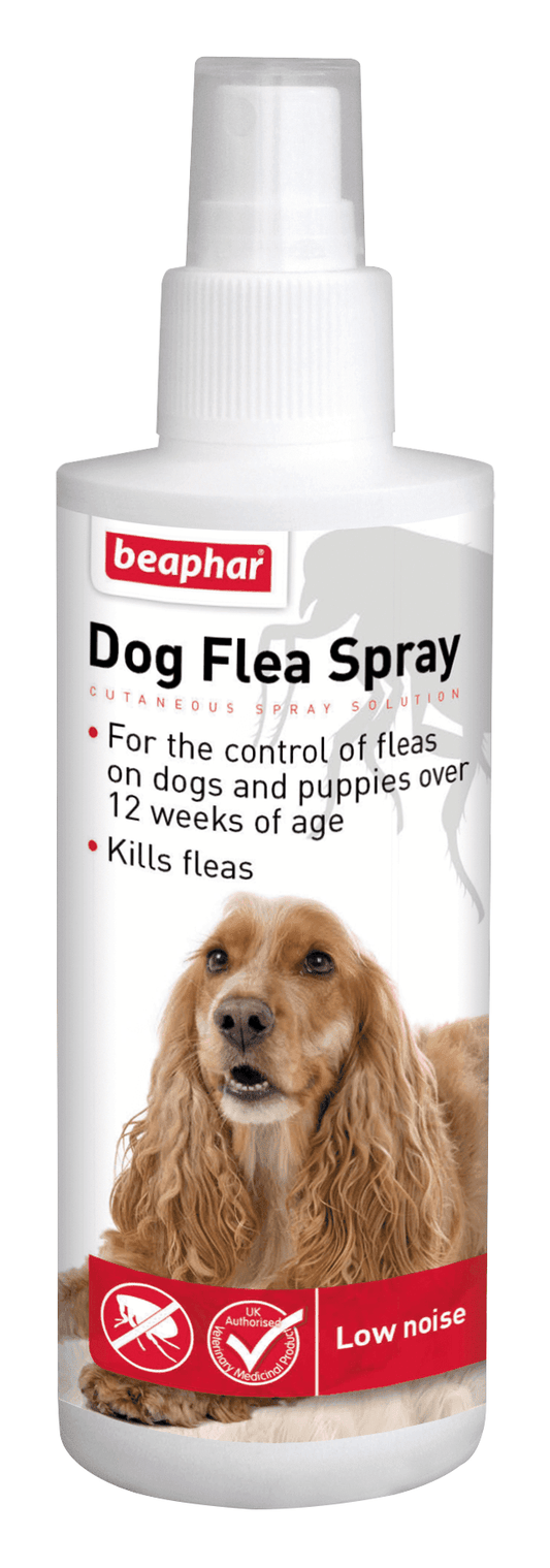 Beaphar Dog Flea Spray Pump Action x6 | Luxury Home Accessories | Heulog Glow
