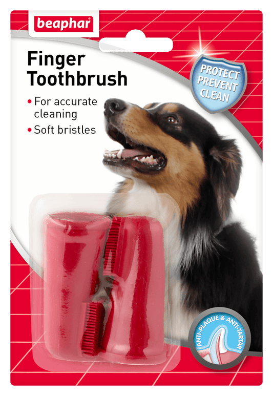 Beaphar Finger Tooth Brush | Luxury Home Accessories | Heulog Glow