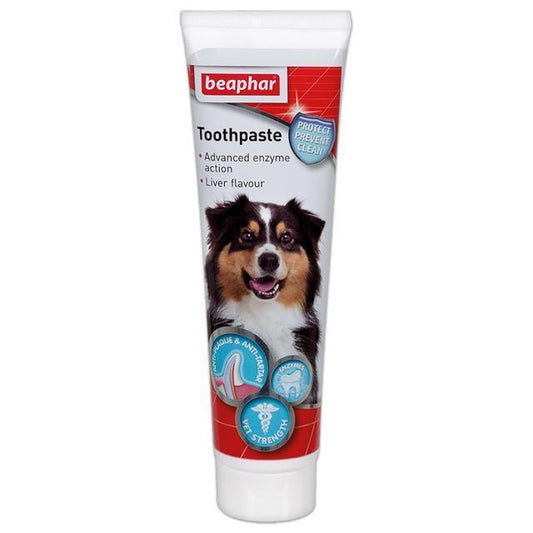Beaphar Toothpaste x6 | Luxury Home Accessories | Heulog Glow