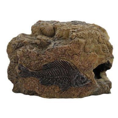 Betta Small Fossil Rock | Luxury Home Accessories | Heulog Glow