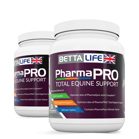 BETTAlife PharmaPro Total Equine Support | Luxury Home Accessories | Heulog Glow