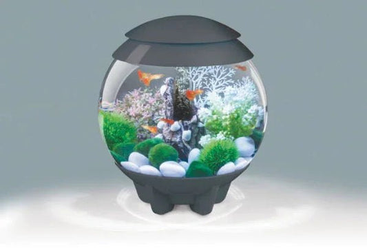 Biorb Halo 15 Multi Coloured Light Grey 15ltr | Luxury Home Accessories | Heulog Glow
