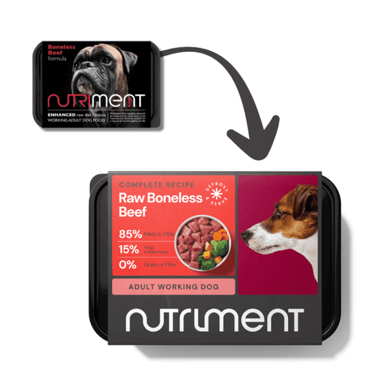 Boneless Beef formula - Adult - 500g tub | Luxury Home Accessories | Heulog Glow