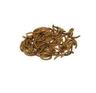 Bucktons Mealworms | Luxury Home Accessories | Heulog Glow