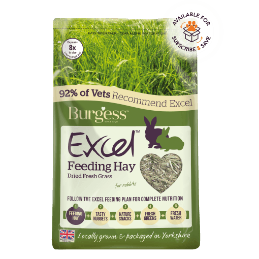 Burgess Excel Feeding Hay | Luxury Home Accessories | Heulog Glow
