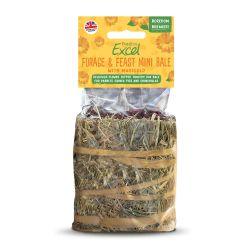 Burgess Excel Forage & Feast Mini Hay Bale, 100g | Luxury Home Accessories | Heulog Glow