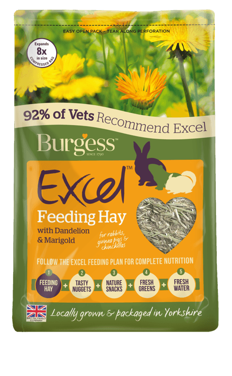 Burgess Excel Hay D/LionMarigold | Luxury Home Accessories | Heulog Glow