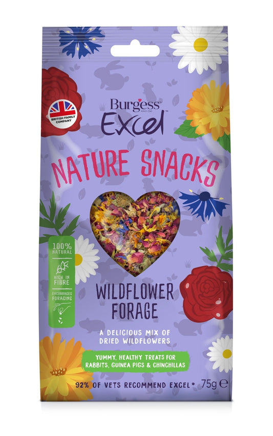 Burgess Excel Nat Snack Wildflower 6x75g | Luxury Home Accessories | Heulog Glow