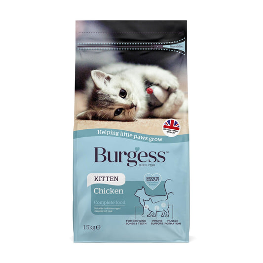 Burgess Kitten Chicken | Luxury Home Accessories | Heulog Glow