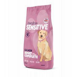 Burgess Sensitive Adult Dog Salmon & Rice | Luxury Home Accessories | Heulog Glow