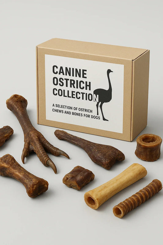 Canine Ostrich Collection | Luxury Home Accessories | Heulog Glow