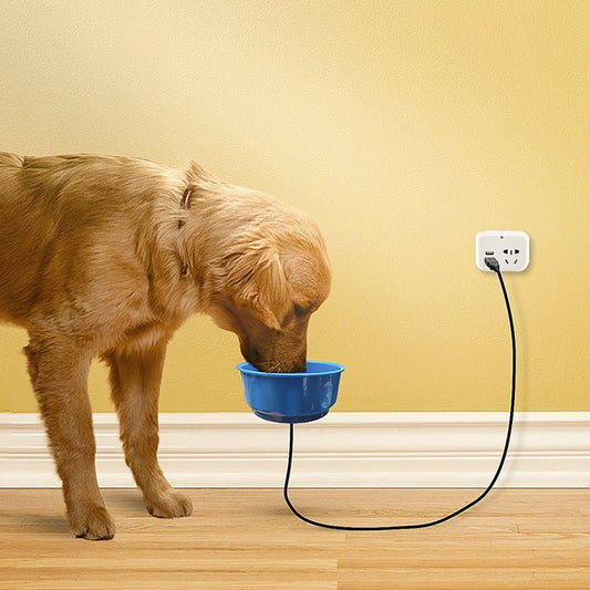 Cat And Dog Food Plate Hanging Thermostatic Insulation Water Bowl | Luxury Home Accessories | Heulog Glow