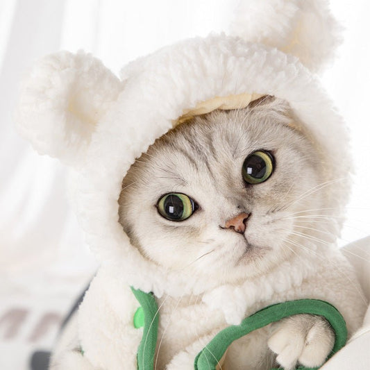 Cat Bear Fashion Dress Up Hat | Luxury Home Accessories | Heulog Glow