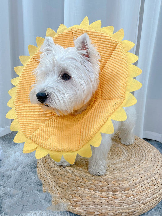 Cat Neck Ornaments Small Dogs Medium-sized Anti-licking Headgear Soft Shame Circle | Luxury Home Accessories | Heulog Glow