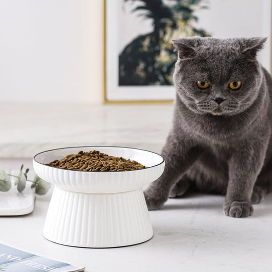 Ceramic Tall Anti-Overturning Large Cat Bowl | Luxury Home Accessories | Heulog Glow