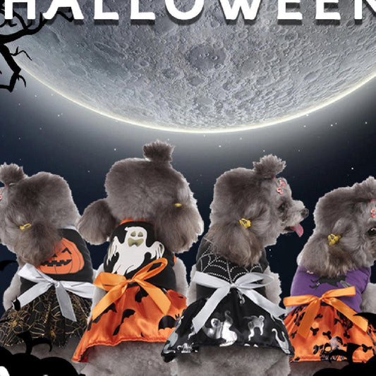 Christmas Dog Supplies Witch Dog Clothing Bat | Luxury Home Accessories | Heulog Glow
