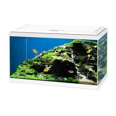 Ciano Aquarium 60 Plus LED White 65L | Luxury Home Accessories | Heulog Glow