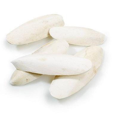 Classic Cuttlebones 5lb | Luxury Home Accessories | Heulog Glow