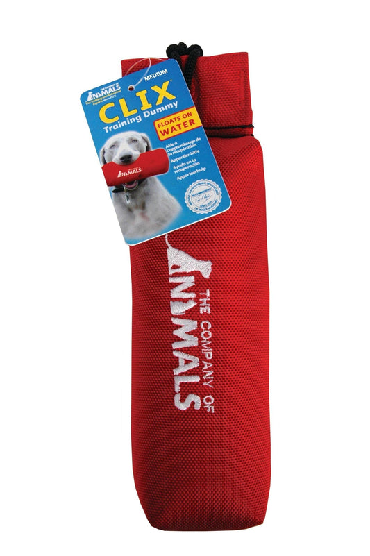 Clix Canvas Training Dummy | Luxury Home Accessories | Heulog Glow