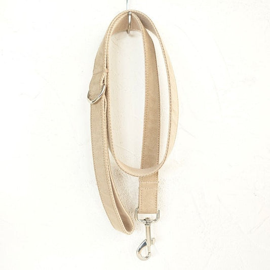Creative design teddy dog leash | Luxury Home Accessories | Heulog Glow
