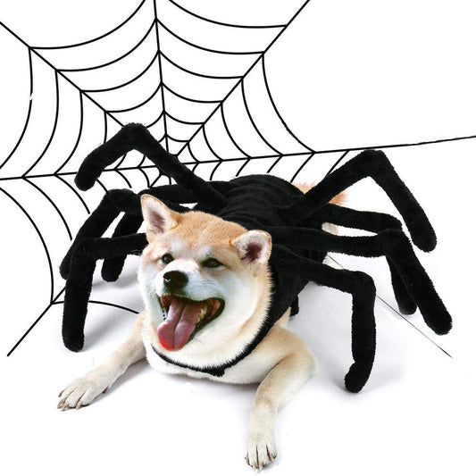 Creative Pets Funny Spiders Chest And Back | Luxury Home Accessories | Heulog Glow