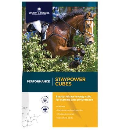 D & H Performance Staypower Cubes | Luxury Home Accessories | Heulog Glow