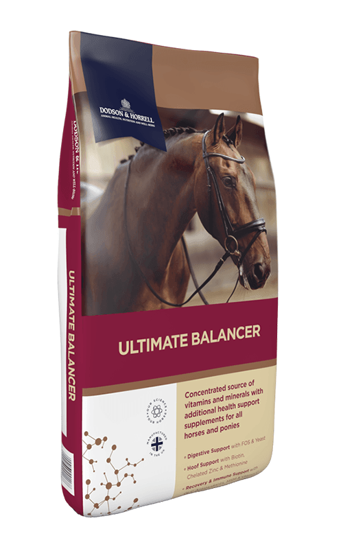 D & H Ultimate Balancer | Luxury Home Accessories | Heulog Glow