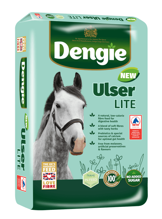 Dengie Ulser Lite | Luxury Home Accessories | Heulog Glow