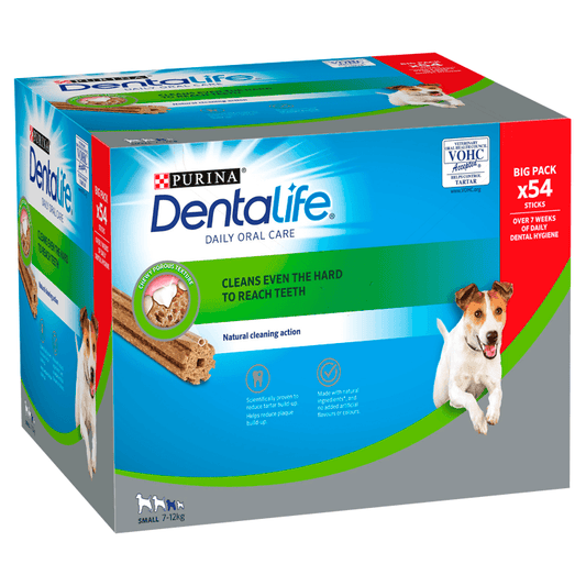 Dentalife Small 2x882g 54 Sticks (108 S) | Luxury Home Accessories | Heulog Glow