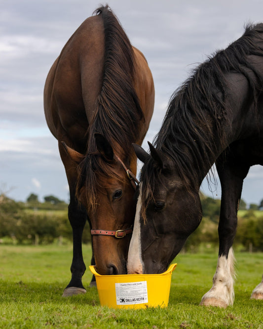 DK Equine Flexi Tub Garlic | Luxury Home Accessories | Heulog Glow