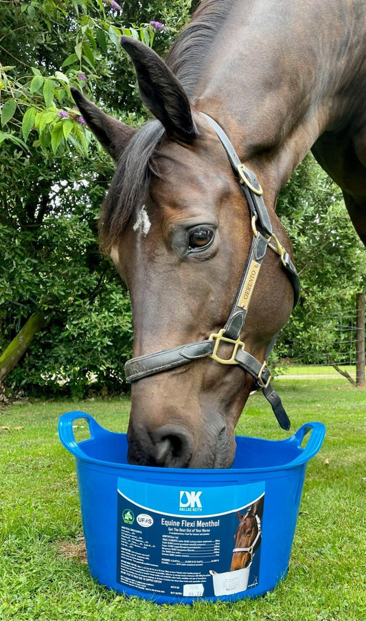 DK Equine Flexi Tub with Menthol | Luxury Home Accessories | Heulog Glow