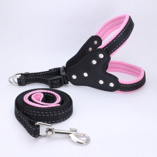 Dog chest back triangle chest strap | Luxury Home Accessories | Heulog Glow