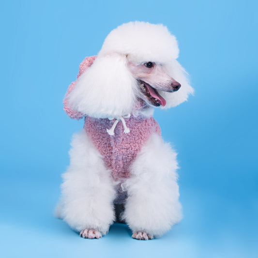 Dog Clothes Cubs Split Two-legged Teddy Dog Pet | Luxury Home Accessories | Heulog Glow