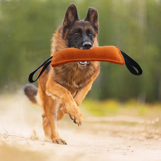 Dog Drag Toy Dog Jute Bite Pillow Durable Training Equipment | Luxury Home Accessories | Heulog Glow