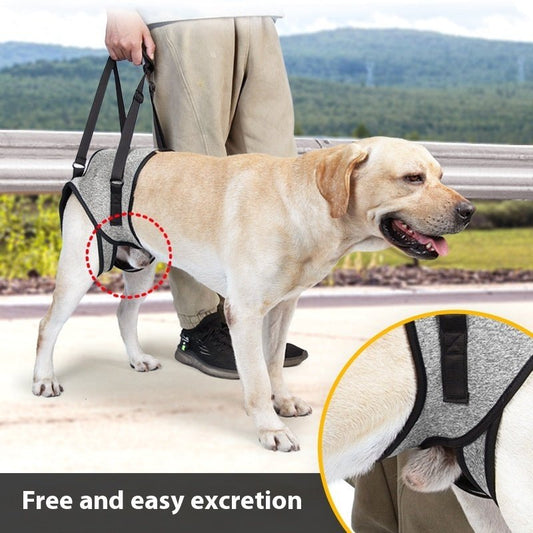 Elderly Dog Outing Back-style Auxiliary Strap | Luxury Home Accessories | Heulog Glow