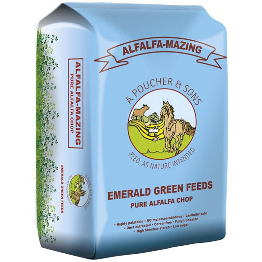 Emerald Green Alfalfa-Mazing | Luxury Home Accessories | Heulog Glow