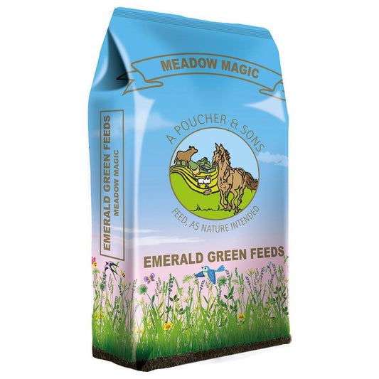 Emerald Green Meadow Magic Pellets | Luxury Home Accessories | Heulog Glow