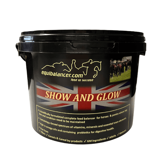 Equibalancer Show & Glow Comp Balancer | Luxury Home Accessories | Heulog Glow