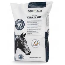 Equiglo 10 Minute Beet | Luxury Home Accessories | Heulog Glow