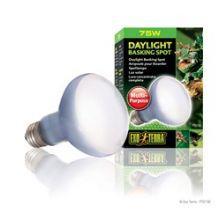 Exo Terra Daylight Basking Spot - 75w, 75w | Luxury Home Accessories | Heulog Glow