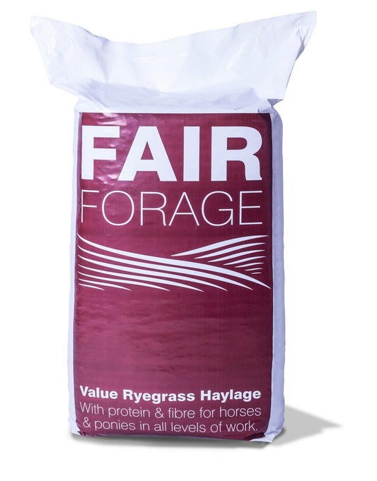 Fair Forage | Luxury Home Accessories | Heulog Glow