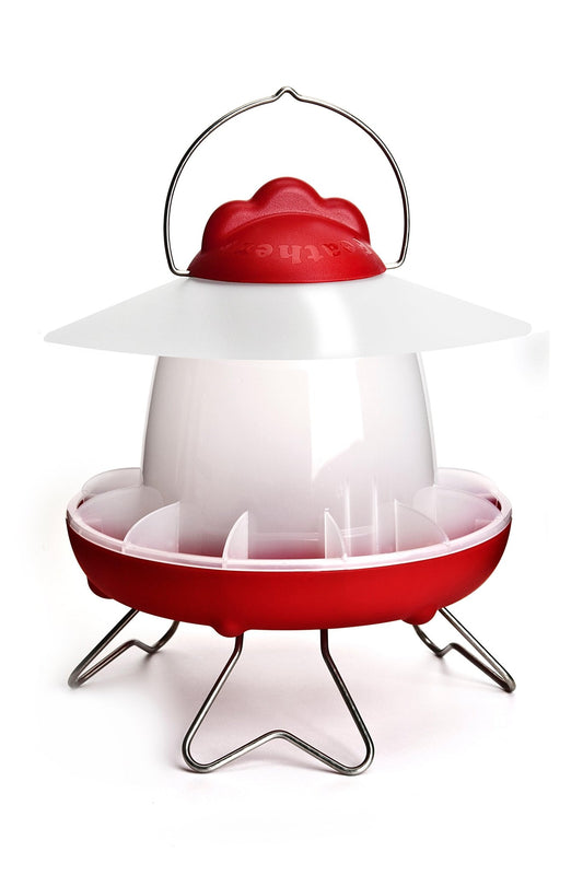 Feathers & Beaky Chicken Feeder | Luxury Home Accessories | Heulog Glow