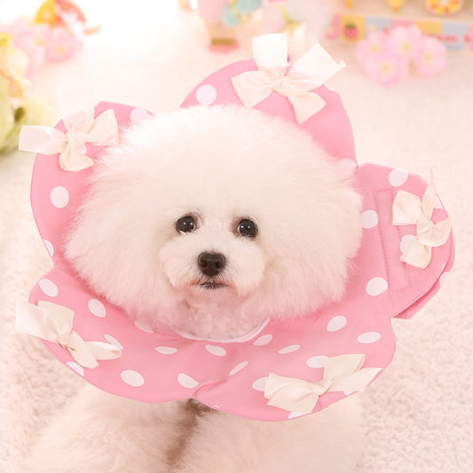 Four Seasons New Flower Elizabethan Ring Teddy Pet Dog Anti-bite Ring Fold | Luxury Home Accessories | Heulog Glow