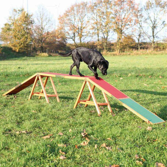 Fun Agility dogwalk | Luxury Home Accessories | Heulog Glow