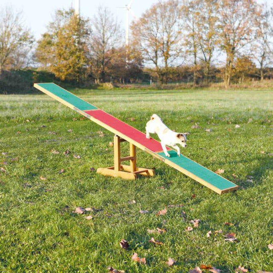 Fun Agility seesaw | Luxury Home Accessories | Heulog Glow